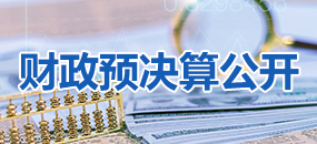 财政预决算公开专栏
